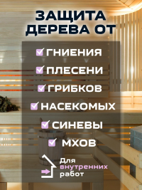 1095 Антисептик для бань и саун 5 литров