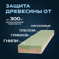 1401 Антисептик невымываемый (1:9)