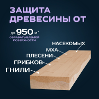 1701 Антисептик для строительства и транспортировки (1:19)