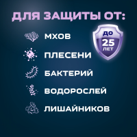 1901 Защита от плесени (1:29) 1 литр