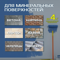1950 Защита от плесени для минеральных поверхностей (готовое) 500 мл