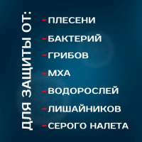 2250 Удалитель плесени