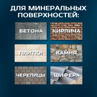 2250 Удалитель плесени